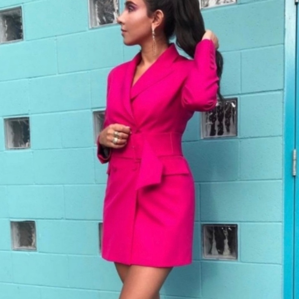 Zara coat dress
